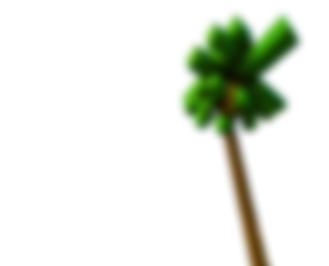 palm-1