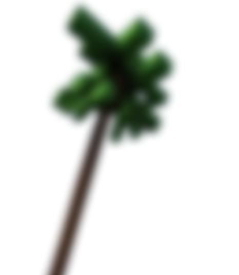 palm-2
